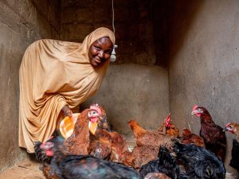 A person feeding chickens.