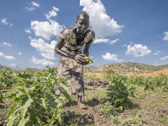 Grace, 29, harvests vegetables from her shared farm in uganda. last year she fled her home country of south sudan to escape violent conflict.