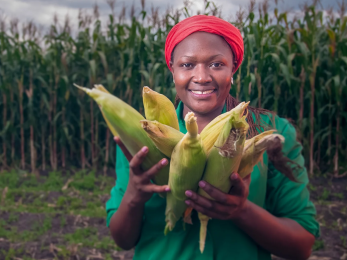 A person holding ears of corn.